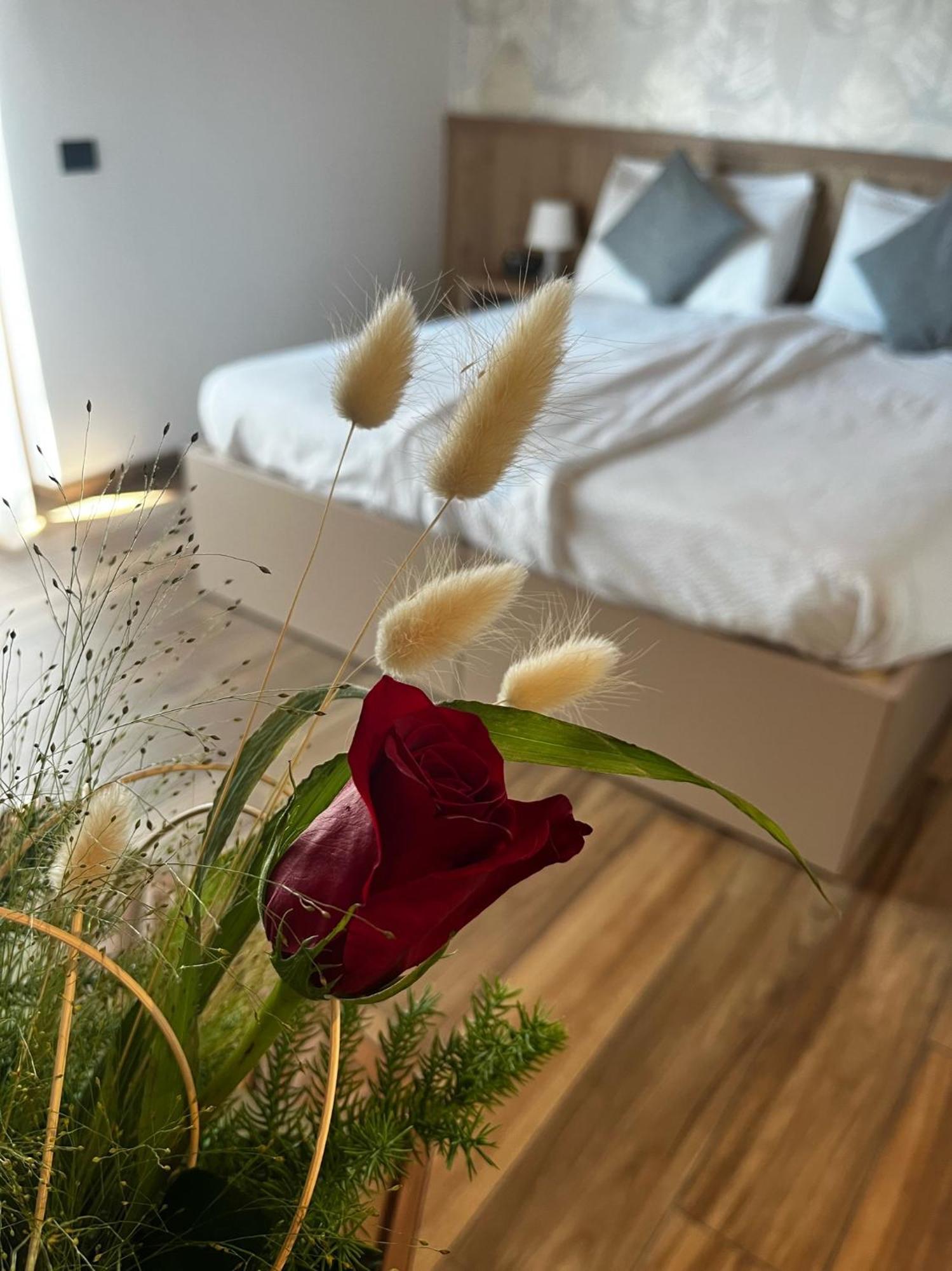 Agriturismo Maso Miri Тренто Екстериор снимка